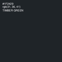 #1F2429 - Timber Green Color Image